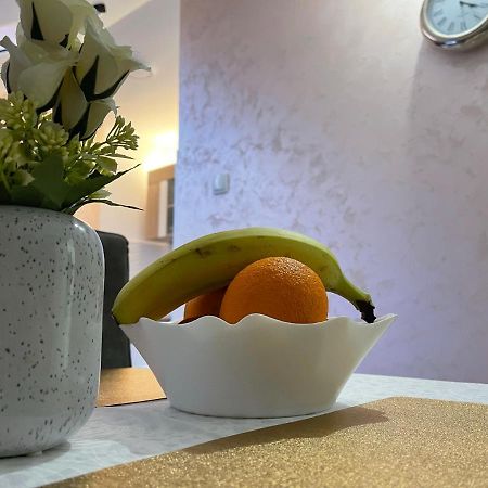 Apartament Apartman 1 Sremska Mitrovica Zewnętrze zdjęcie